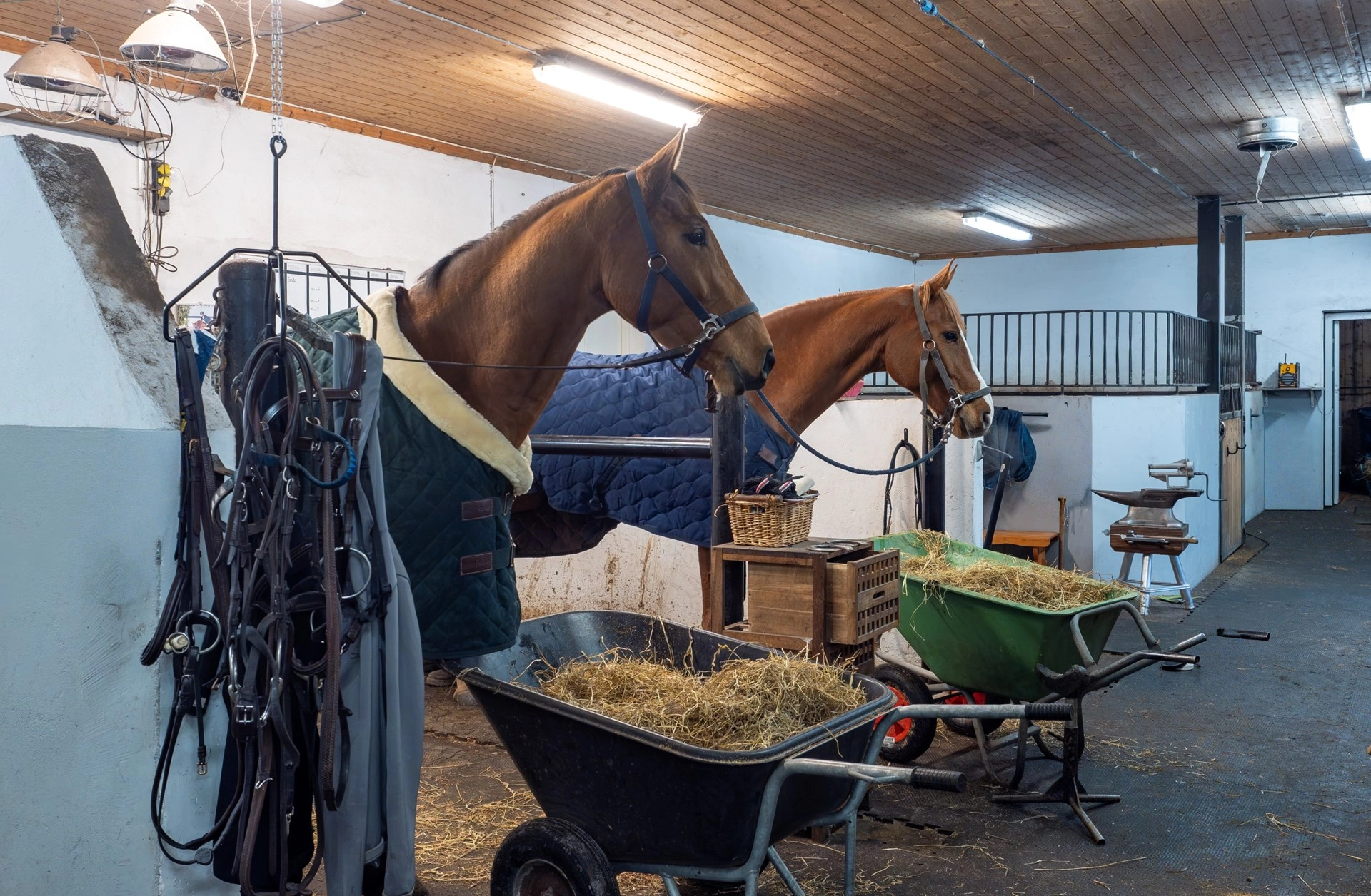 Tallbacka gård – exklusivt boende med komplett ridsportsanläggning i Sölvesborg