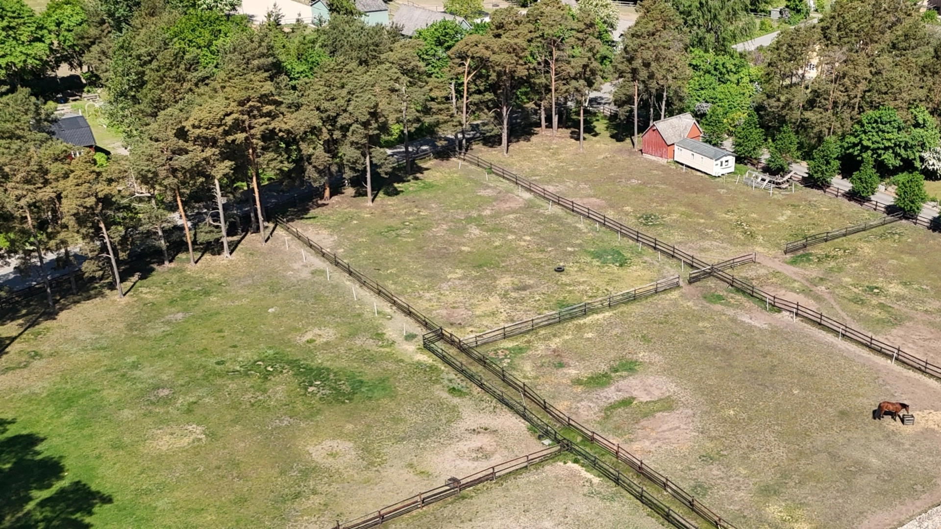 Tallbacka gård – exklusivt boende med komplett ridsportsanläggning i Sölvesborg