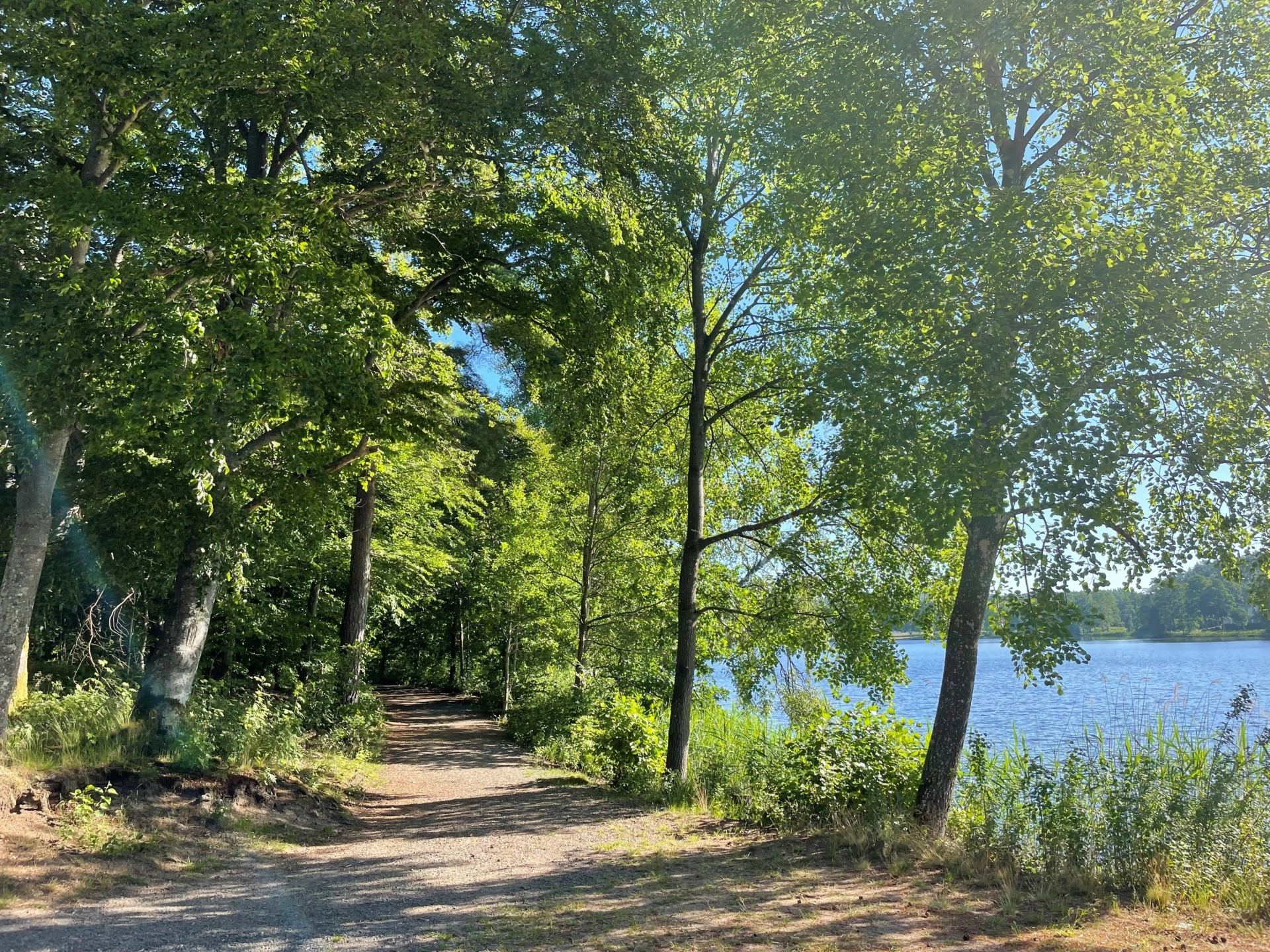 Bo och driv verksamhet i populära Åsljunga – B&B och ställplatser