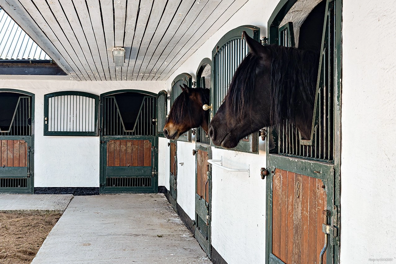 Springfield Farm – En exklusiv fastighet med internationell potential.