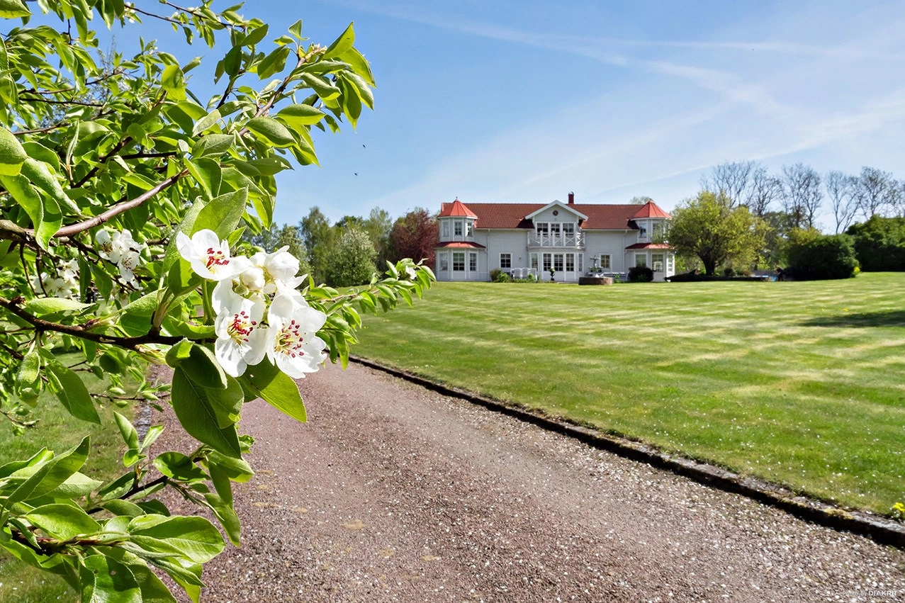 Springfield Farm – En exklusiv fastighet med internationell potential.