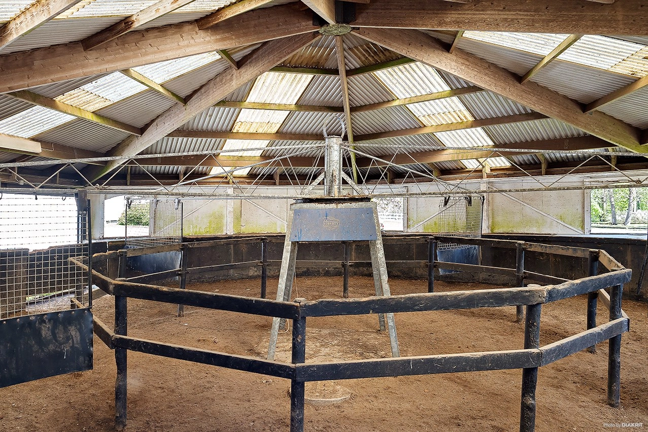 Springfield Farm – En exklusiv fastighet med internationell potential.