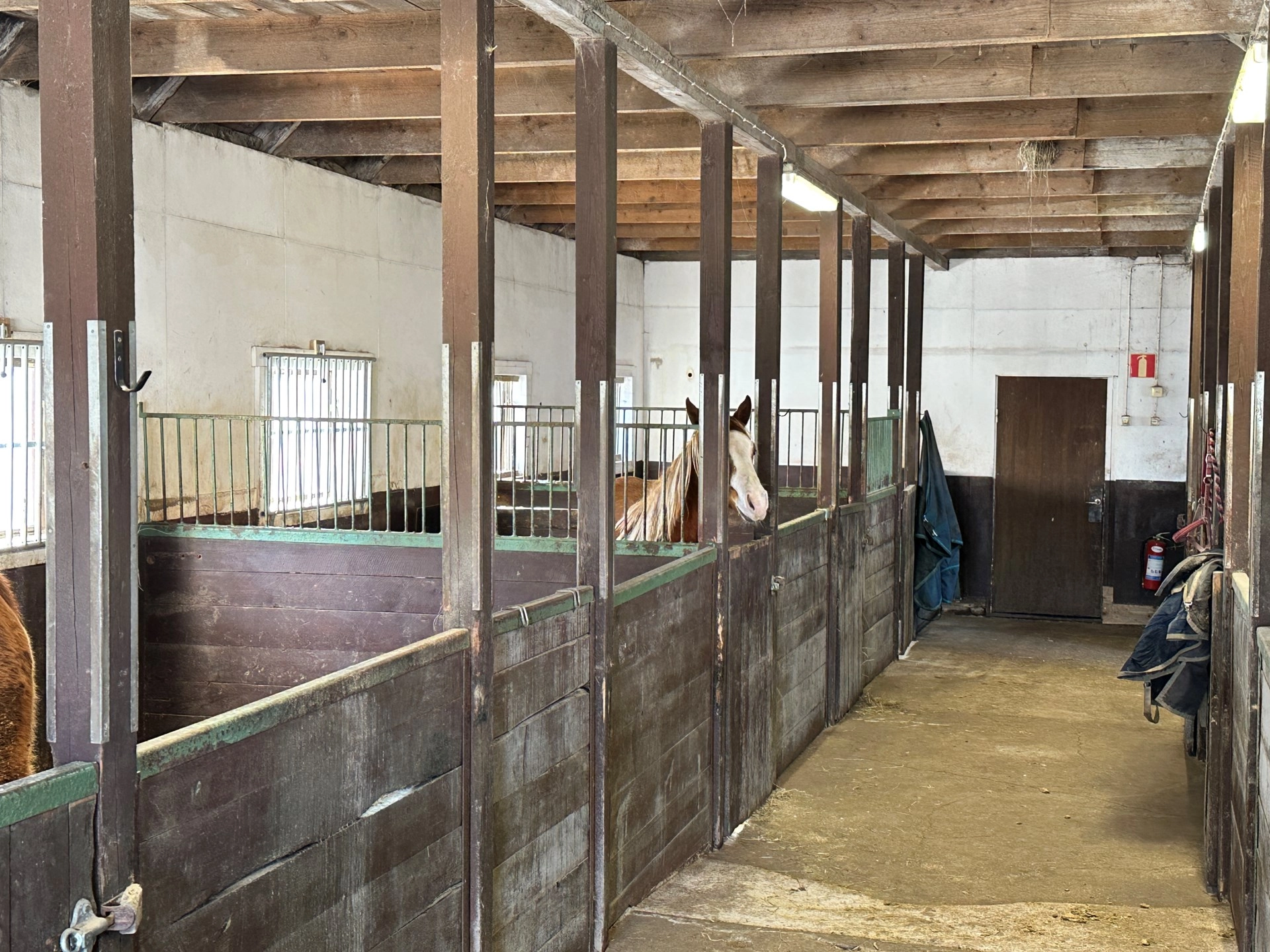 Hästgård med ridhus, 18 boxplatser och gäststugor – Verksamhet och familjeliv i harmoni med naturen!