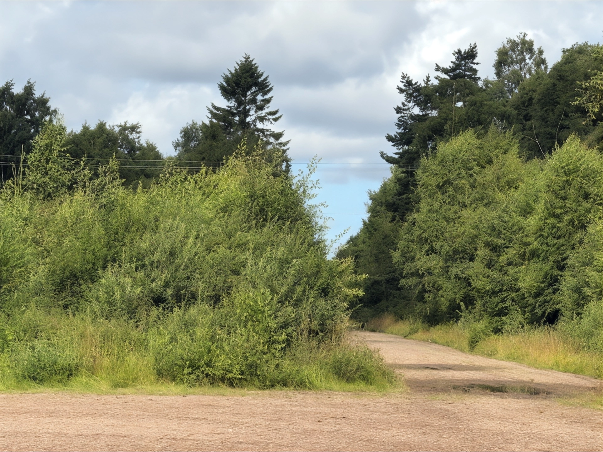 Komplett häst- och träningsanläggning i naturnära miljö utanför Båstad